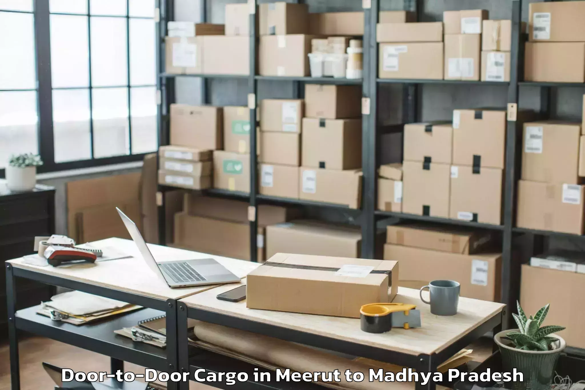 Reliable Meerut to Bichhua Door To Door Cargo